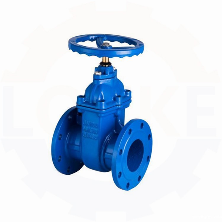 进口闸阀(图1) 进口闸阀(图1)