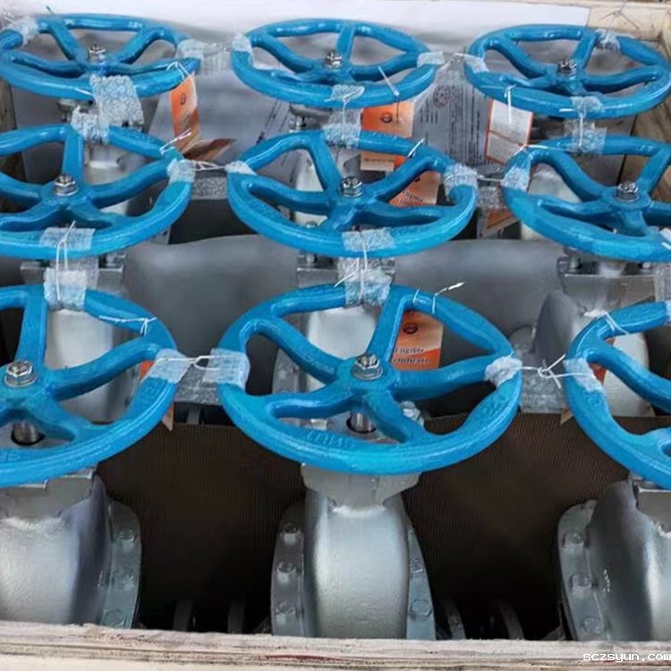 进口软密封闸阀(图1)