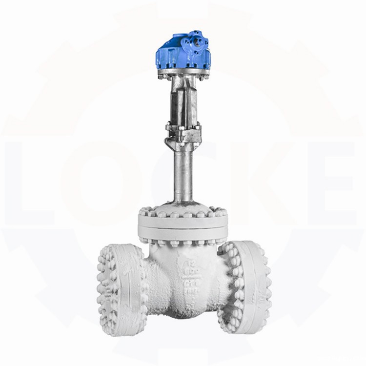 进口低温闸阀(图1) 进口低温闸阀(图1)