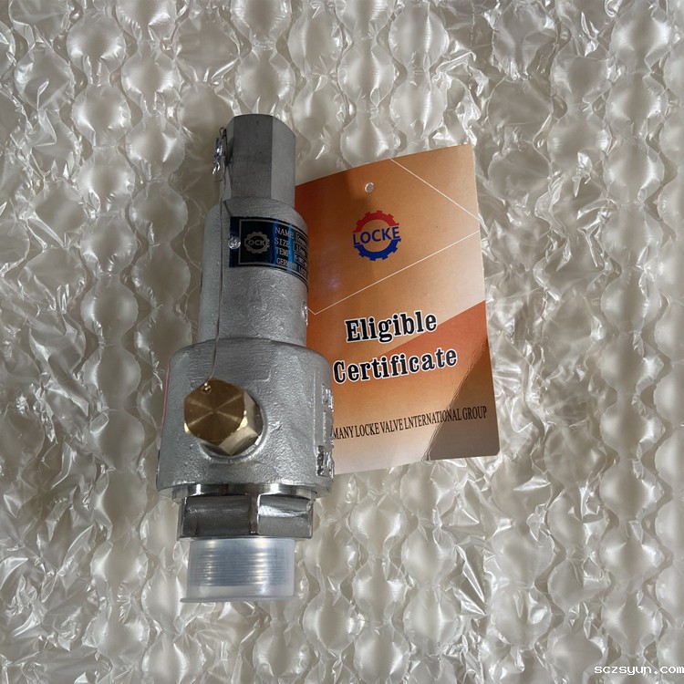 进口低温安全阀(图1)