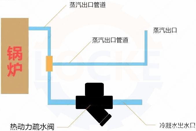 进口热动力疏水阀安装说明(图1)