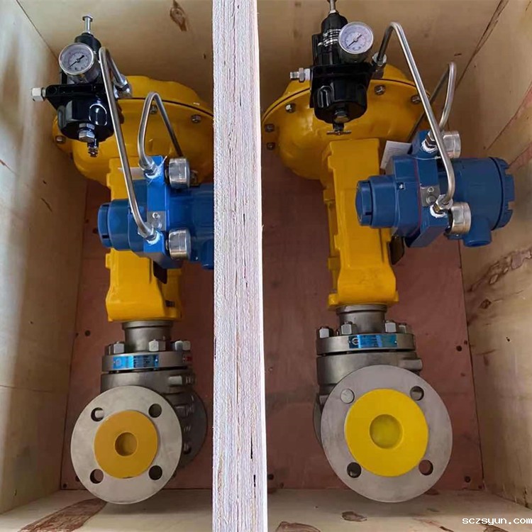 进口气动调节阀出现波动原因分析(图1)