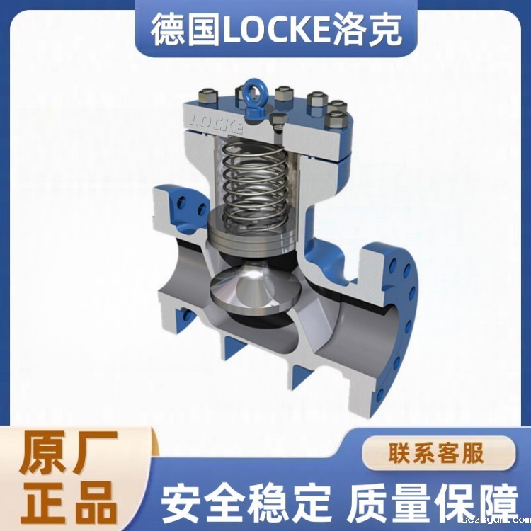 进口止回阀(图1)